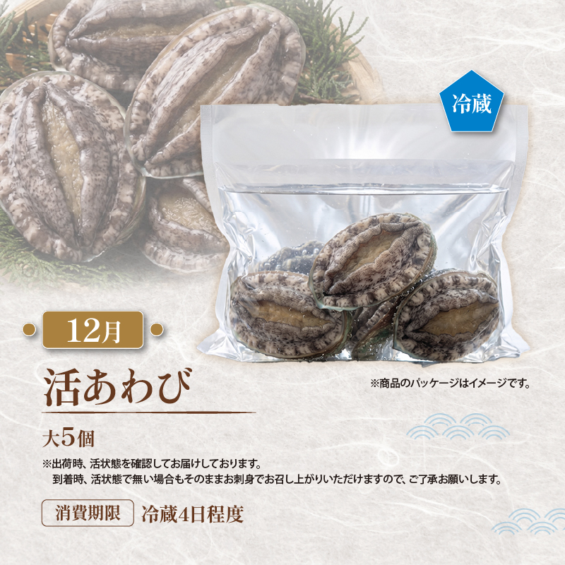【全5回 大船渡ごちそう定期便】 旬をお届け 大船渡1年満喫！！ プレミアム 旬 定期 マグロ 牡蠣 生うに さんま あわび 最高級 厳選品 刺身 さしみ 鮪 かき カキ うに ウニ サンマ 秋刀魚